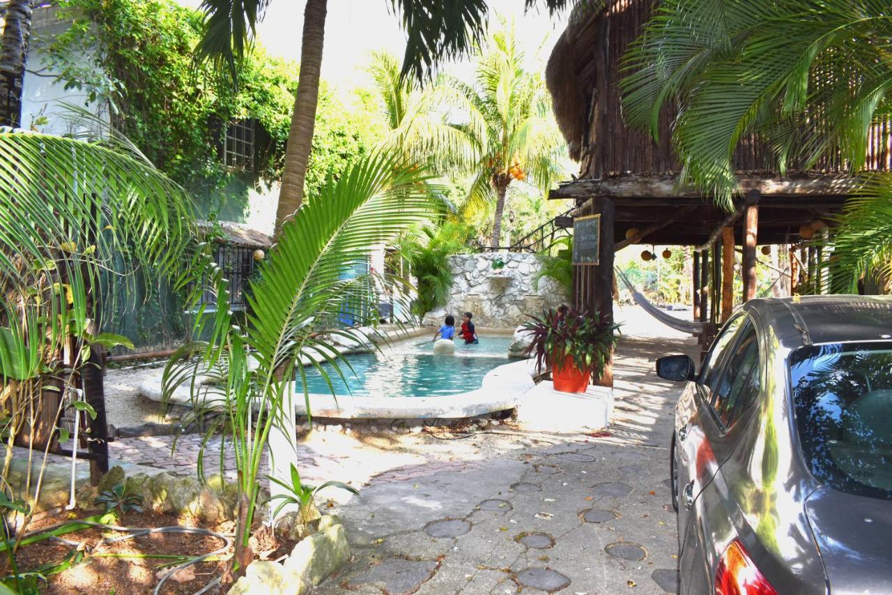 Lobo Couette-café Tulum
