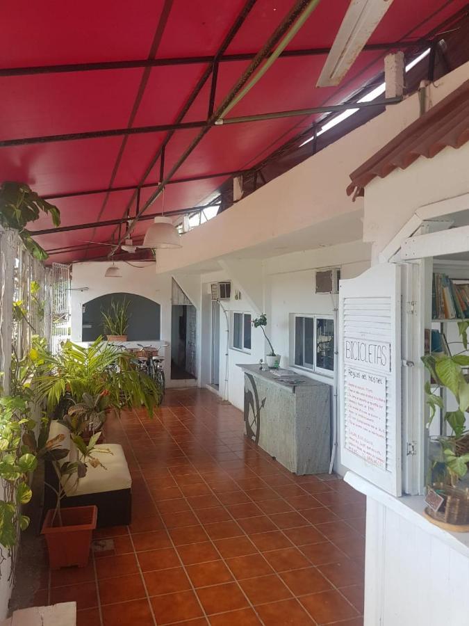 Couette-café Lobo Tulum