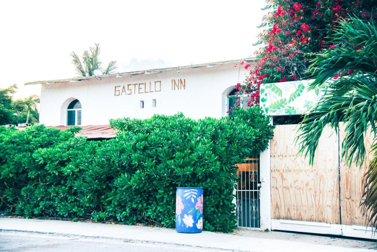 Couette-café Lobo Tulum
