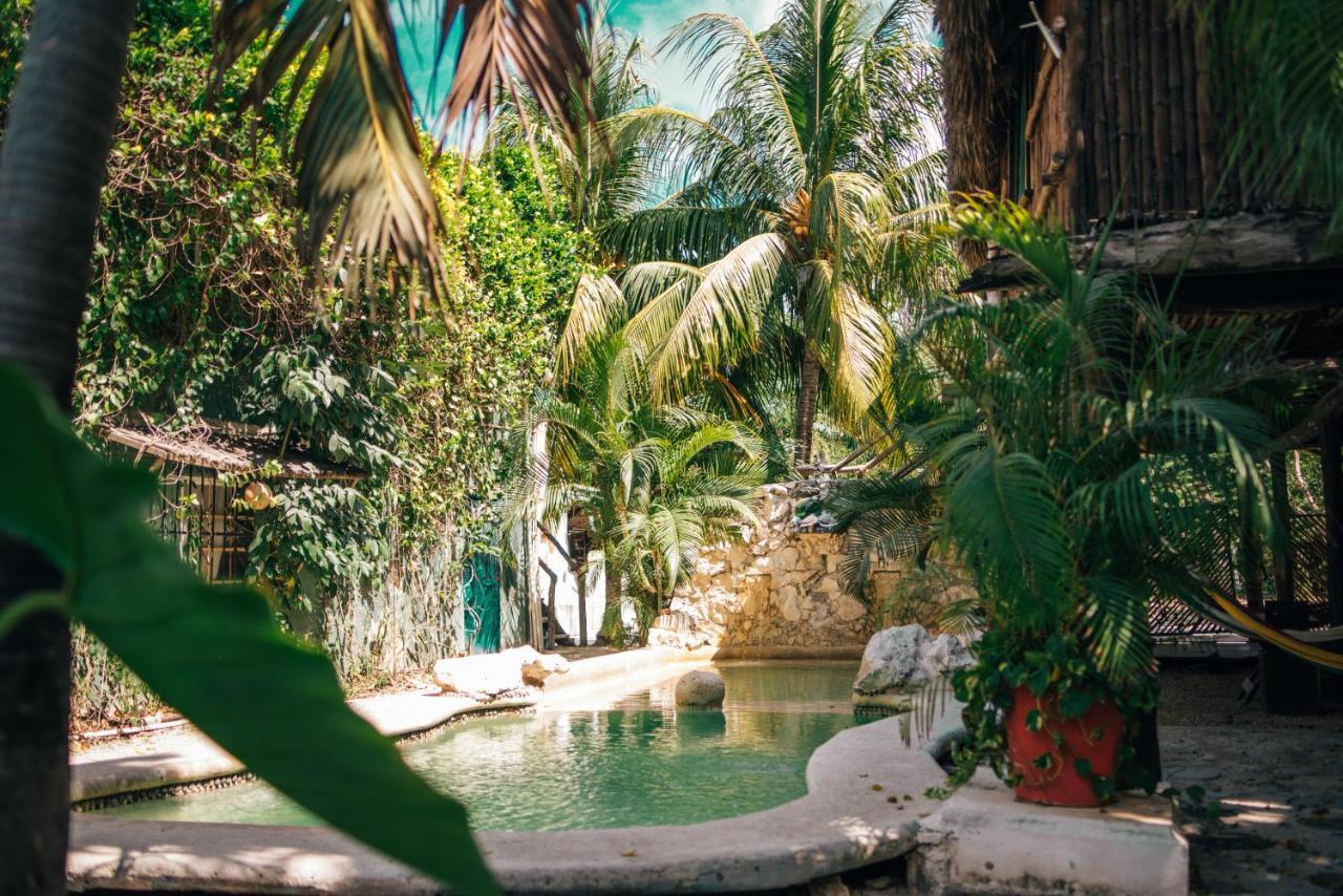 Lobo Bed and breakfast Tulum